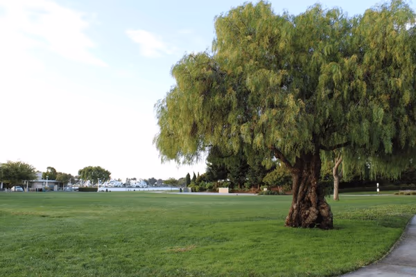 Leo J Ryan Memorial Dog Park photo 2